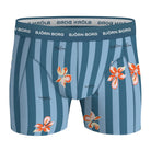 Bjorn Borg 2-Pack Cotton Men's Boxers - Blue Print MP004