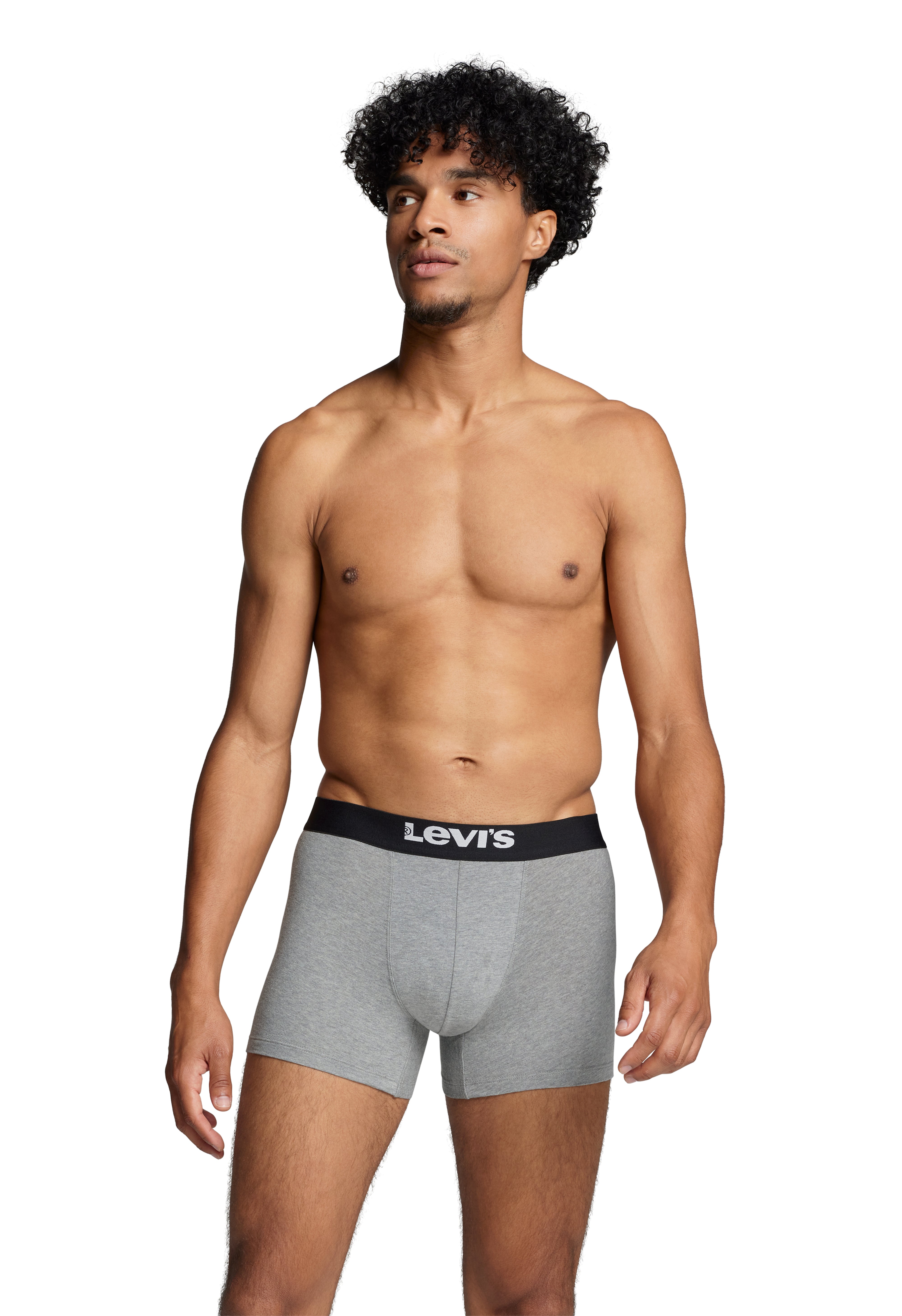 Levi's 2 pack Solid Organic Cotton Boxer Briefs - Grey Melange