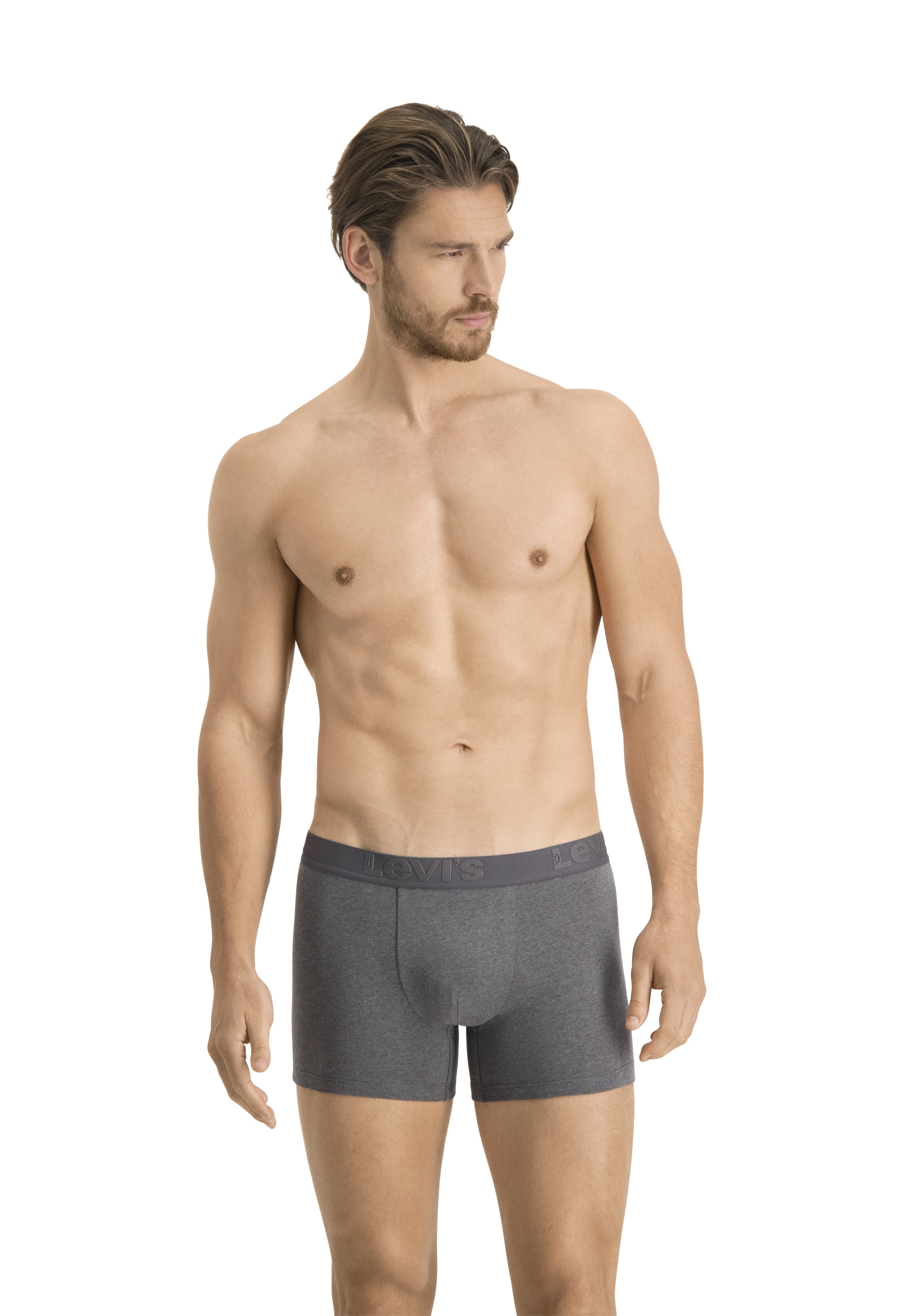 Levi's Premium Cotton Stretch Boxer Briefs - Black/Grey/White