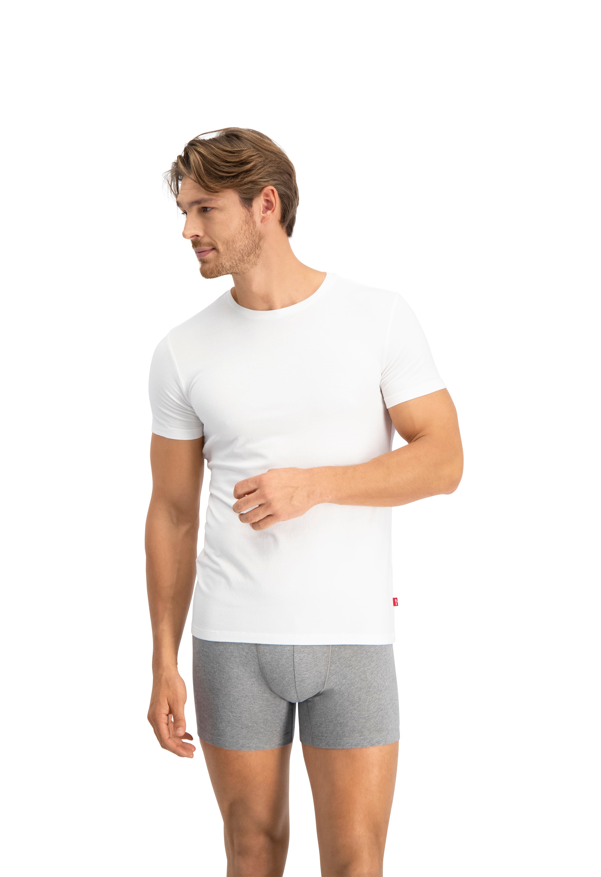 Levi's Premium Crew Neck T-Shirt 2 Pack for Men - White