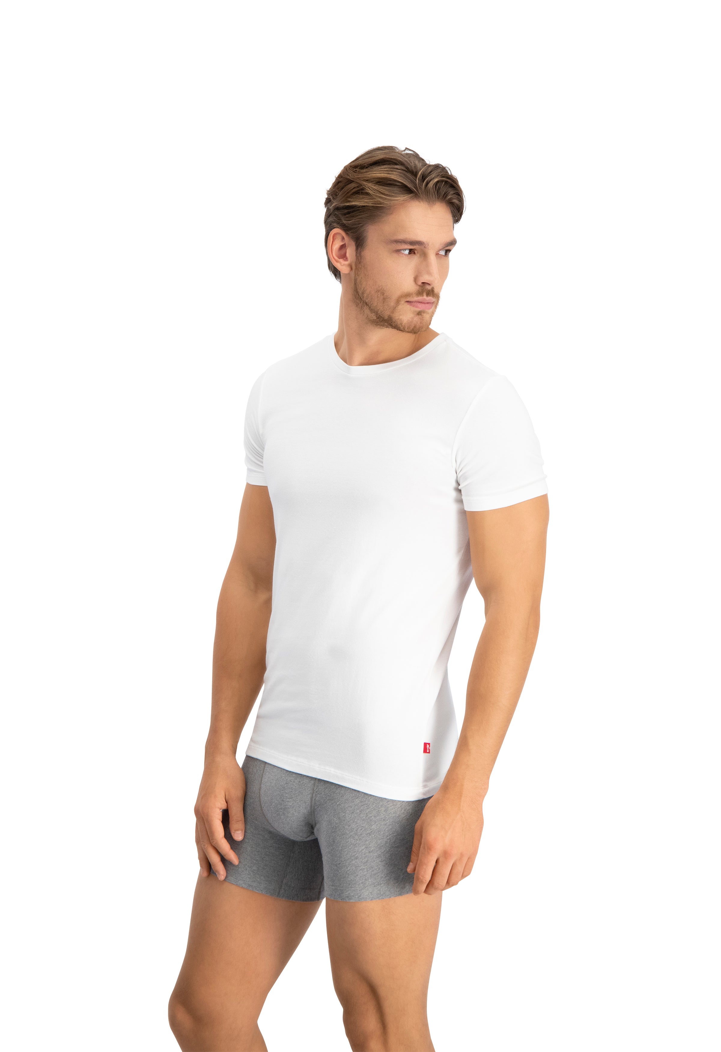 Levi's Premium Crew Neck T-Shirt 2 Pack for Men - White