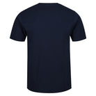 DKNY Giants 3 Pack Cotton T-Shirts in Navy/White/Blue