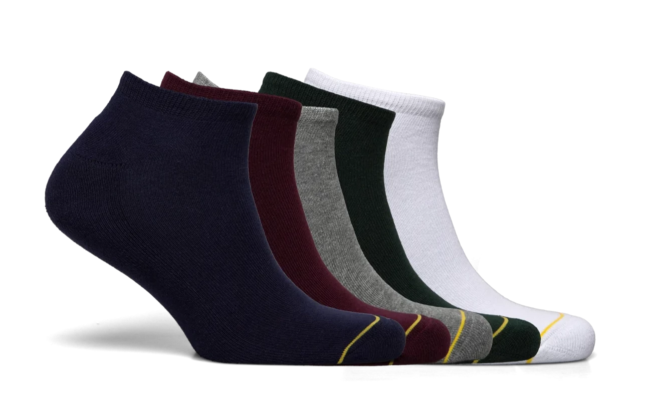 Lyle & Scott 5 Pack Ankle Socks - Black/Wine Tasting/Grey/Pine/White