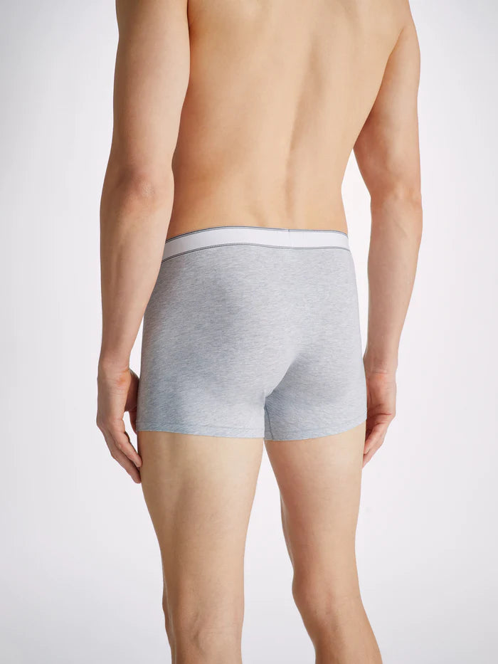 Derek Rose Men's Ethan Micro Modal Stretch Hipster / Boxer Briefs - Silver