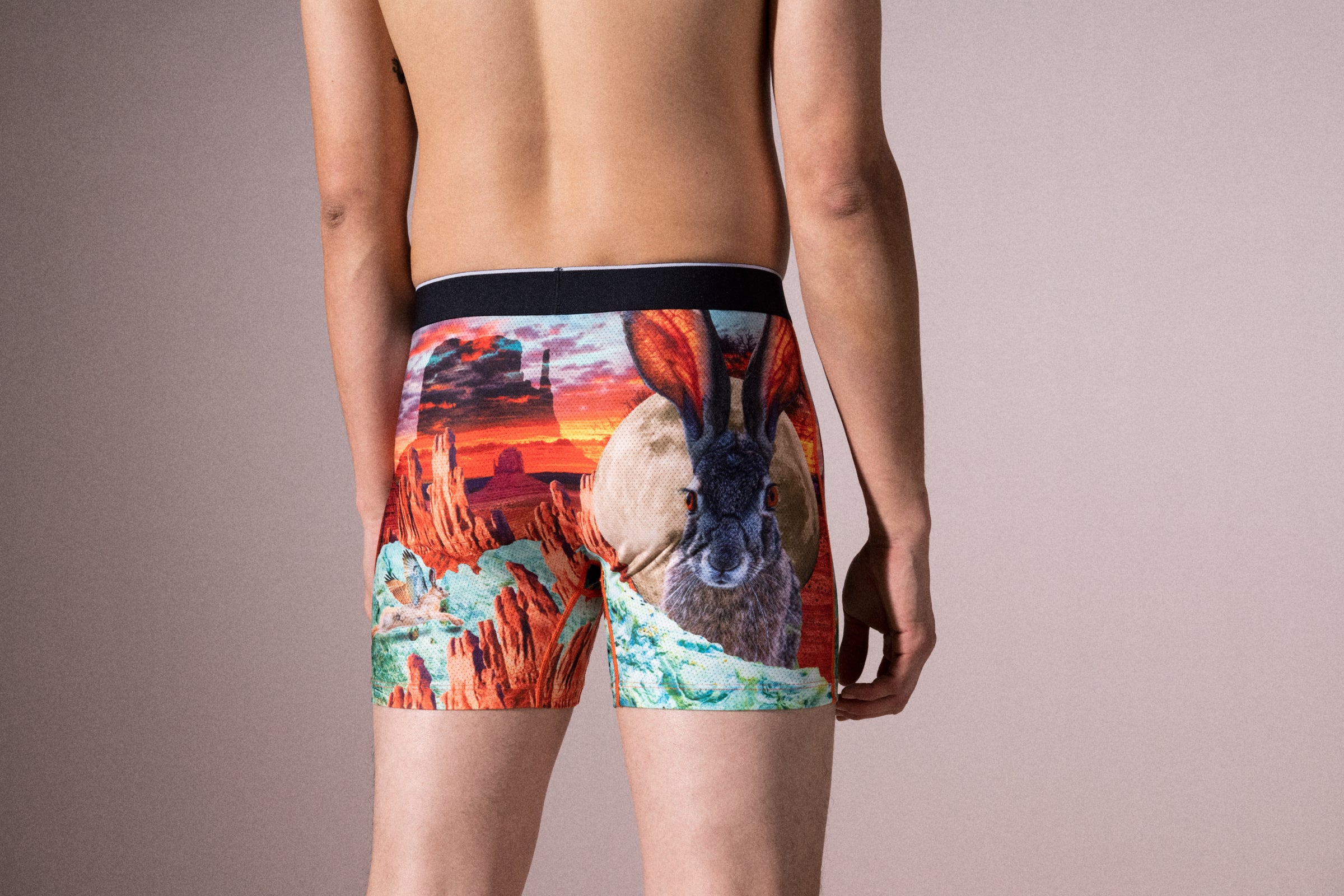 SAXX Men's Volt Boxer Brief - Monument Valley