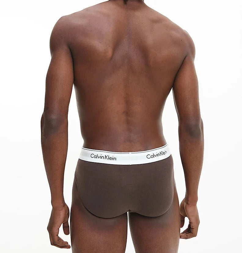 Calvin Klein 3 Pack Briefs - Modern Cotton (Black/ Woodland/ Sandalwood)