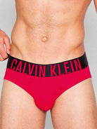 Calvin Klein 2 Pack Hipster Briefs - Intense Power